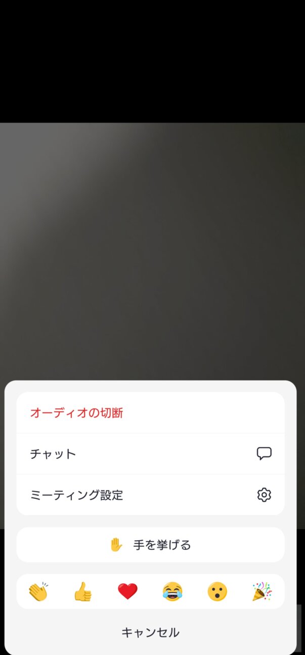 Android版Zoomは結局背景設定ができなかった(PC・iOSはできる 