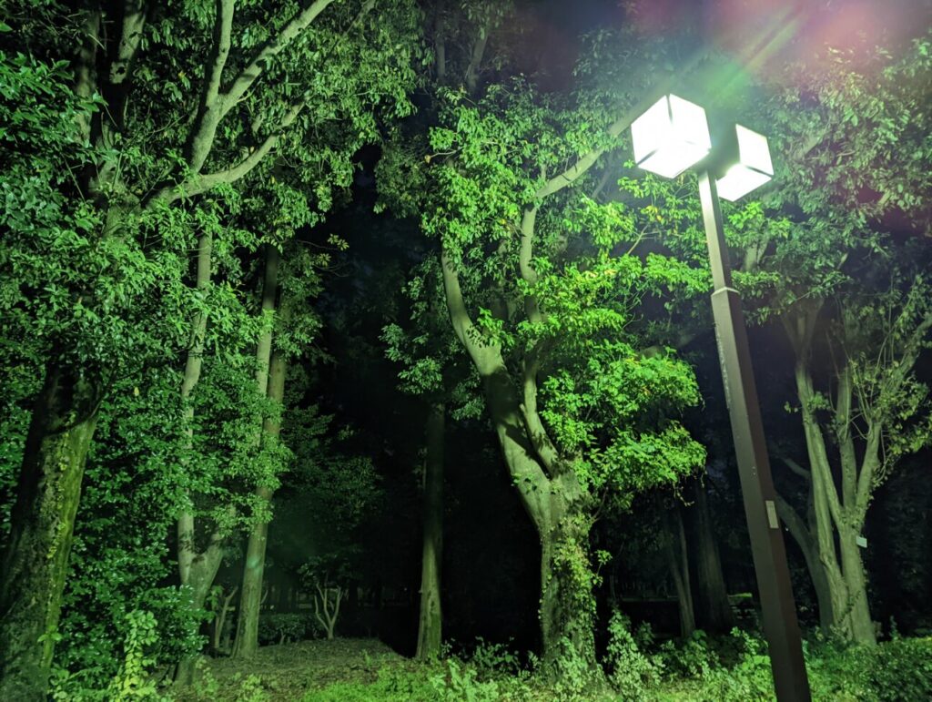 「Pixel 6」で撮った写真(夜の公園)
