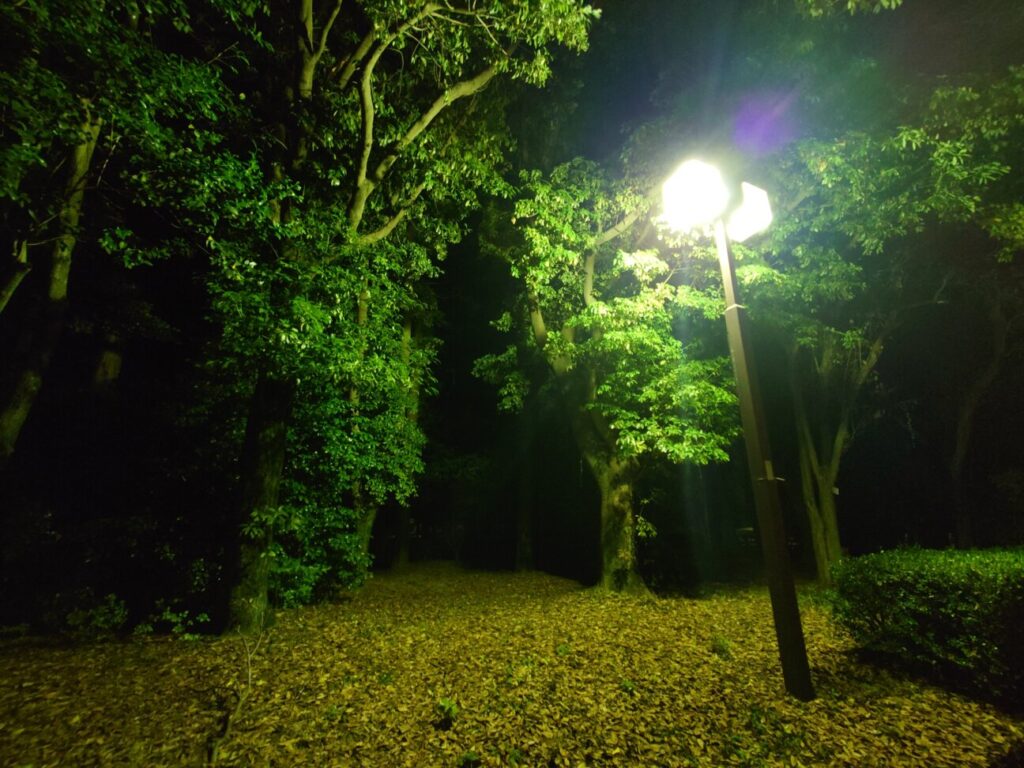 「Xperia 5 III」の写真ー夜間の公園ー(広角)