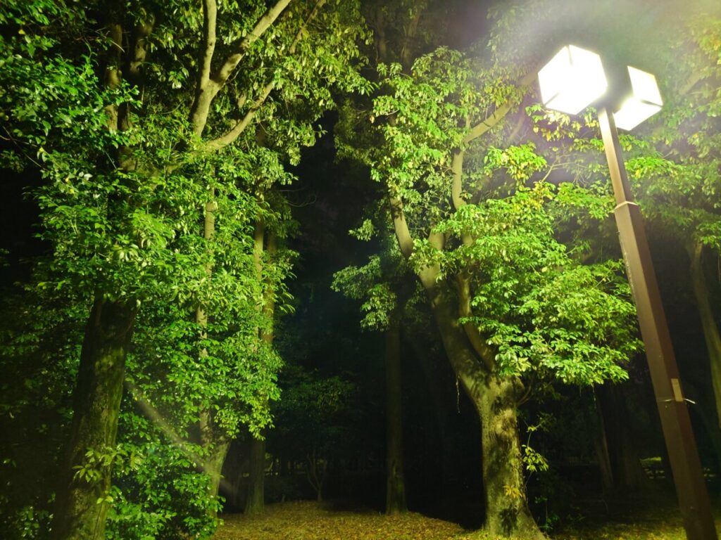 「Xperia 5 III」の写真ー夜間の公園ー(標準)