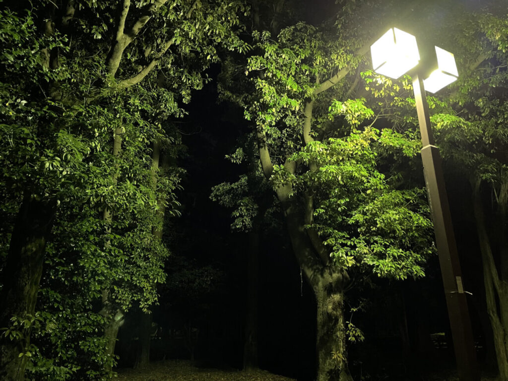 「iPhone 12 mini」の写真ー夜間の公園ー(標準)