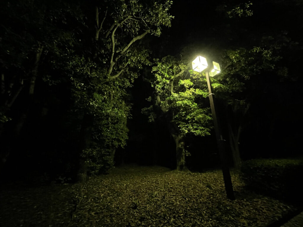 「iPhone 12 mini」の写真ー夜間の公園ー(広角)