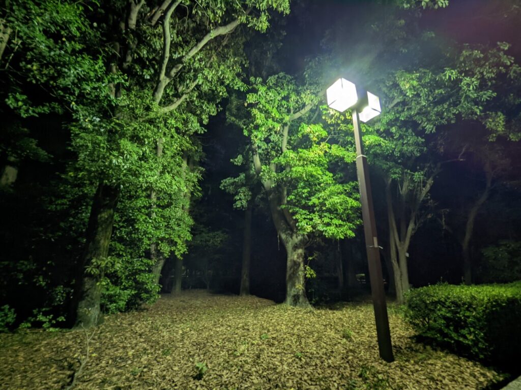 「Pixel 6」の写真ー夜間の公園ー(広角)