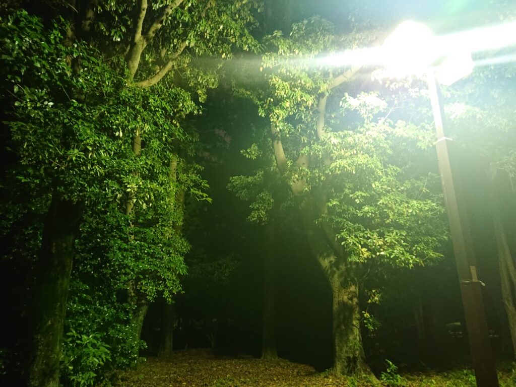「Xperia XZ2」の写真ー夜間の公園ー