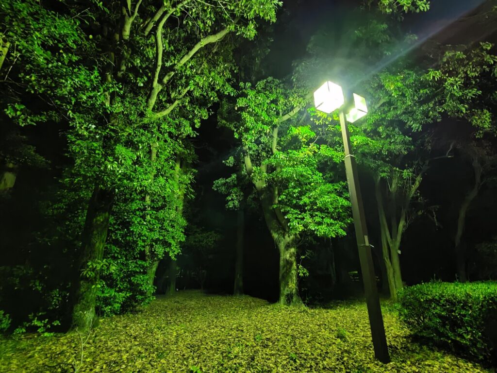 「Zenfone 8」の写真ー夜間の公園ー(広角)