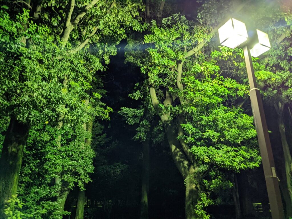 「Pixel 6a」の写真ー夜間の公園ー