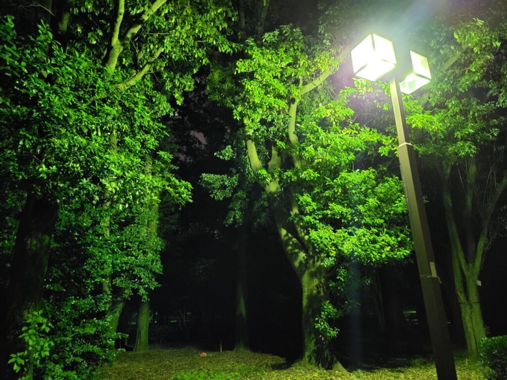 「Galaxy Z Fold3 5G」の写真ー夜間の公園ー