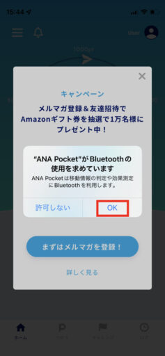 ANA Pocketの初期設定(19)