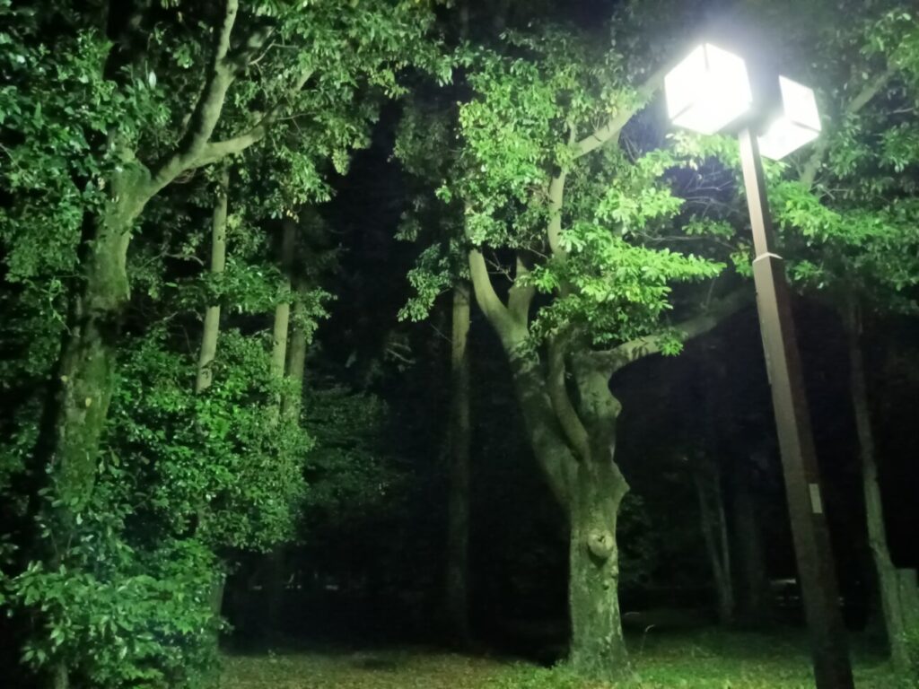「Libero 5G III」の写真ー夜間の公園ー