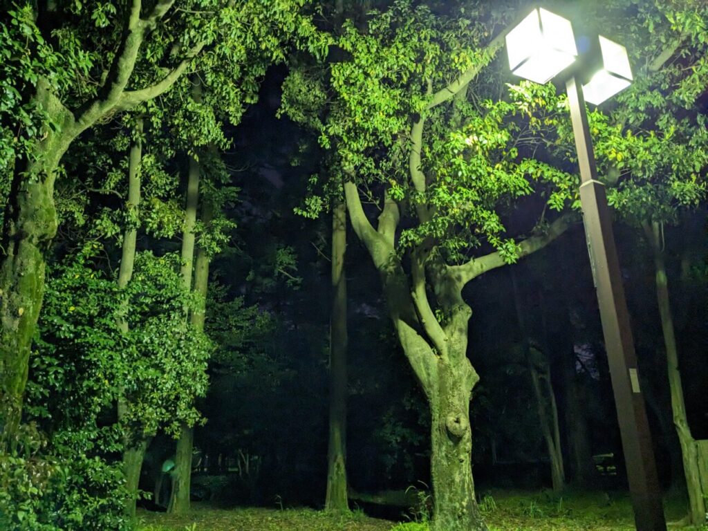 「Pixel 6a」の写真ー夜間の公園ー