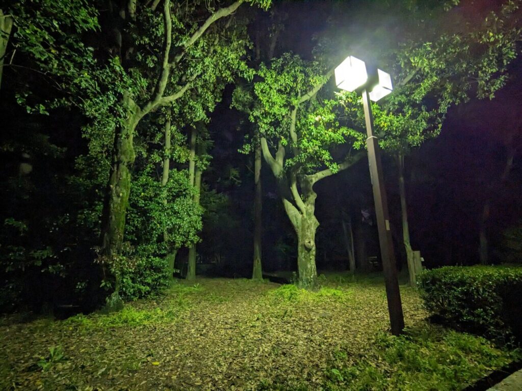 「Pixel 6a」の写真ー夜間の公園ー(広角)