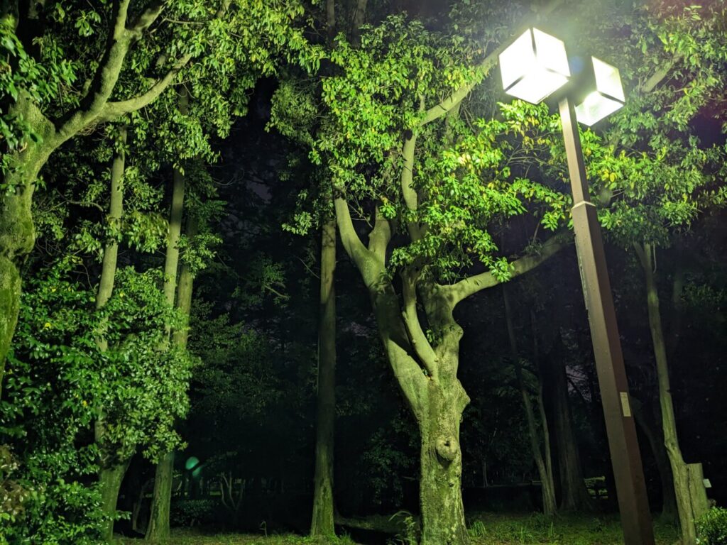 「Pixel 6a」の写真ー夜間の公園ー(夜景モード)