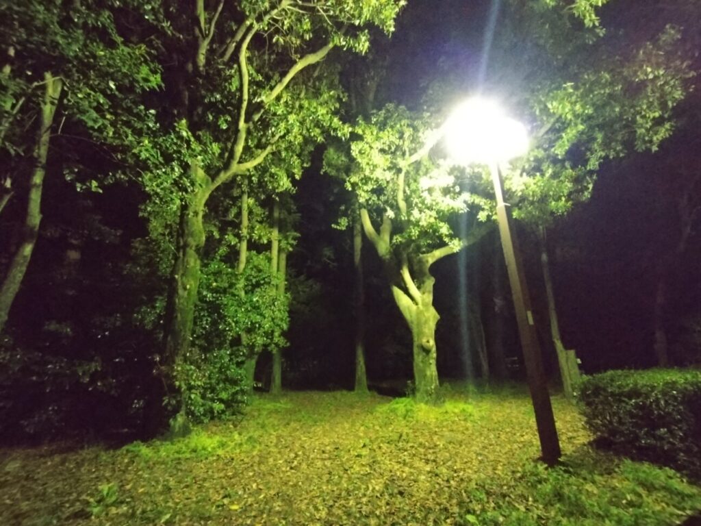 「Xperia 10 IV」の写真ー夜間の公園ー(広角)