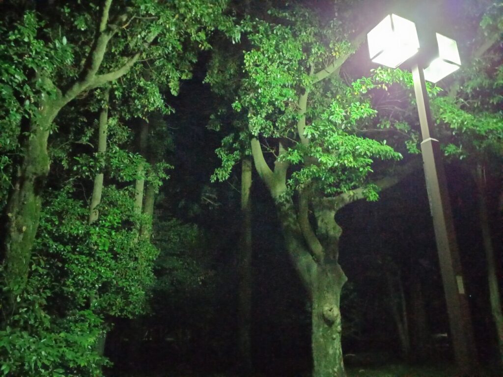 「Galaxy A22 5G」の写真ー夜間の公園ー