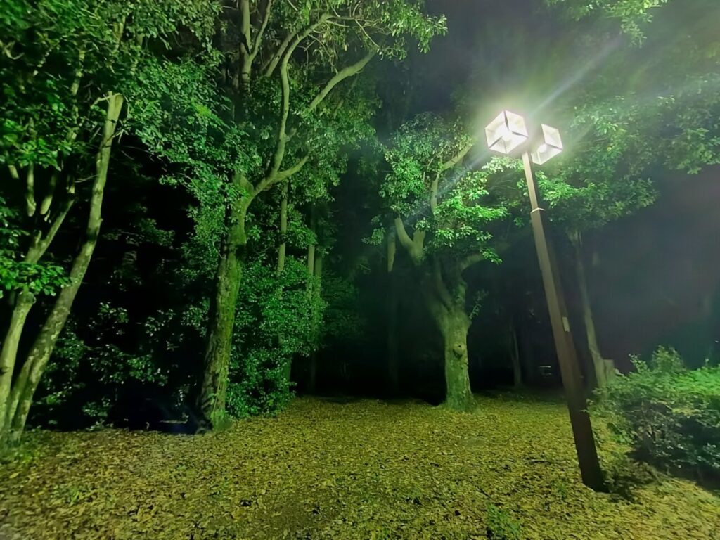 「AQUOS sense7 plus」の写真ー夜間の公園ー(広角/夜景モード)