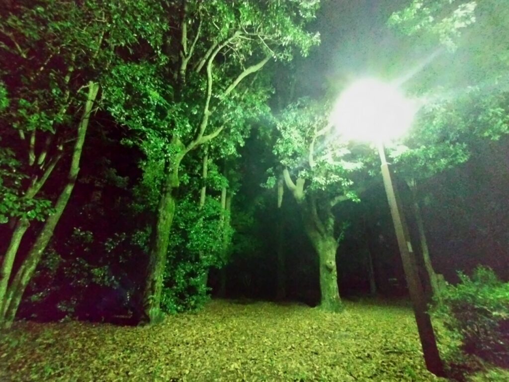 「AQUOS sense7 plus」の写真ー夜間の公園ー(広角)