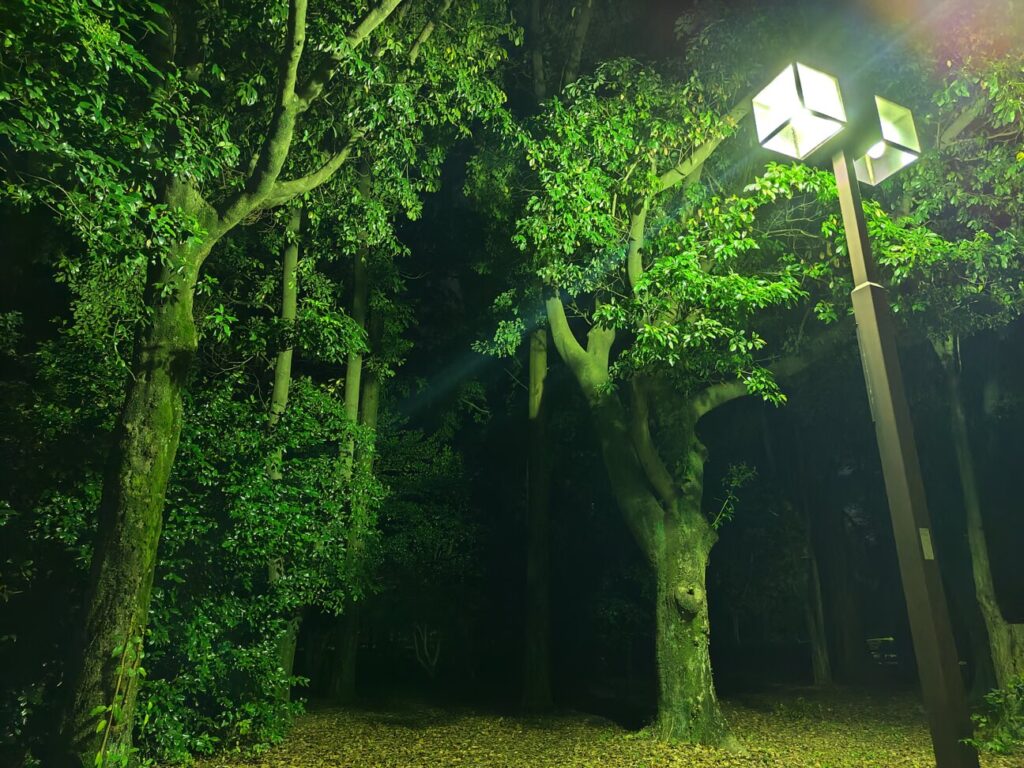 「AQUOS sense7 plus」の写真ー夜間の公園ー(夜景モード)