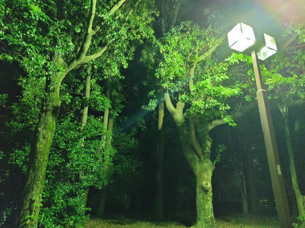 「AQUOS sense7 plus」の写真ー夜間の公園ー