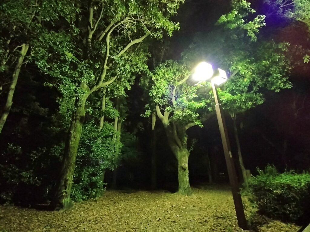 「OPPO Reno7 A」の写真ー夜間の公園ー(広角/夜景モード)