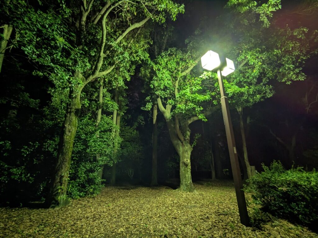 「Pixel 6a」の写真ー夜間の公園ー(広角/夜景モード)