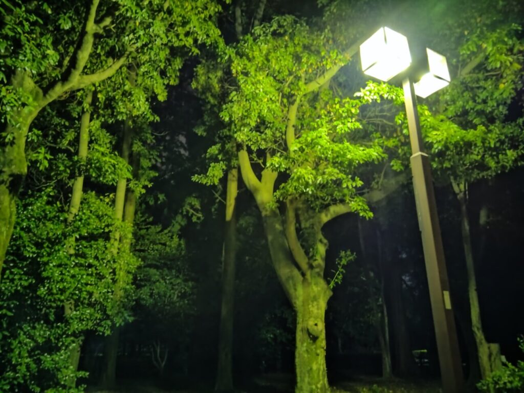 「Xperia 10 IV」の写真ー夜間の公園ー(夜景モード)
