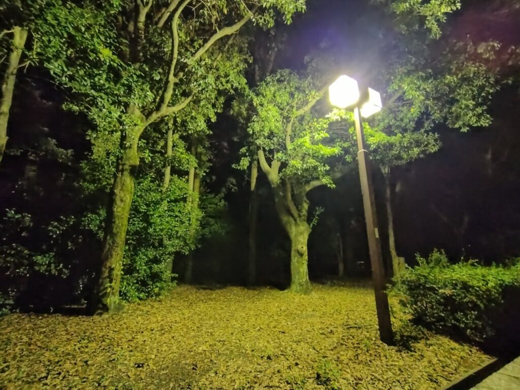 「Xperia 10 IV」の写真ー夜間の公園ー(広角/夜景モード)