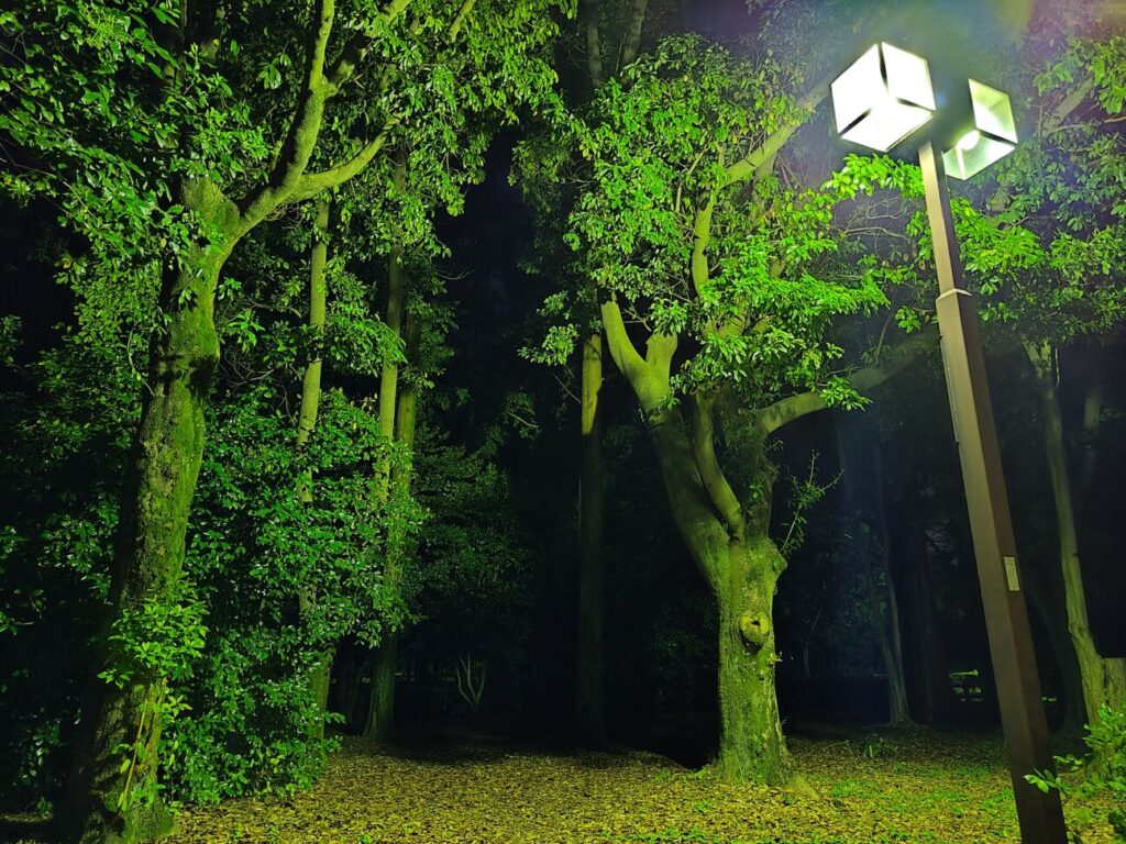 「Zenfone 10」の写真ー夜間の公園ー(夜景モード)