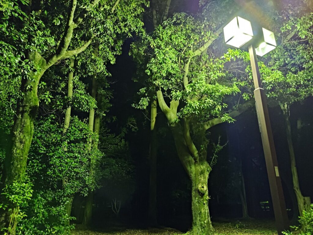 「Zenfone 10」の写真ー夜間の公園ー