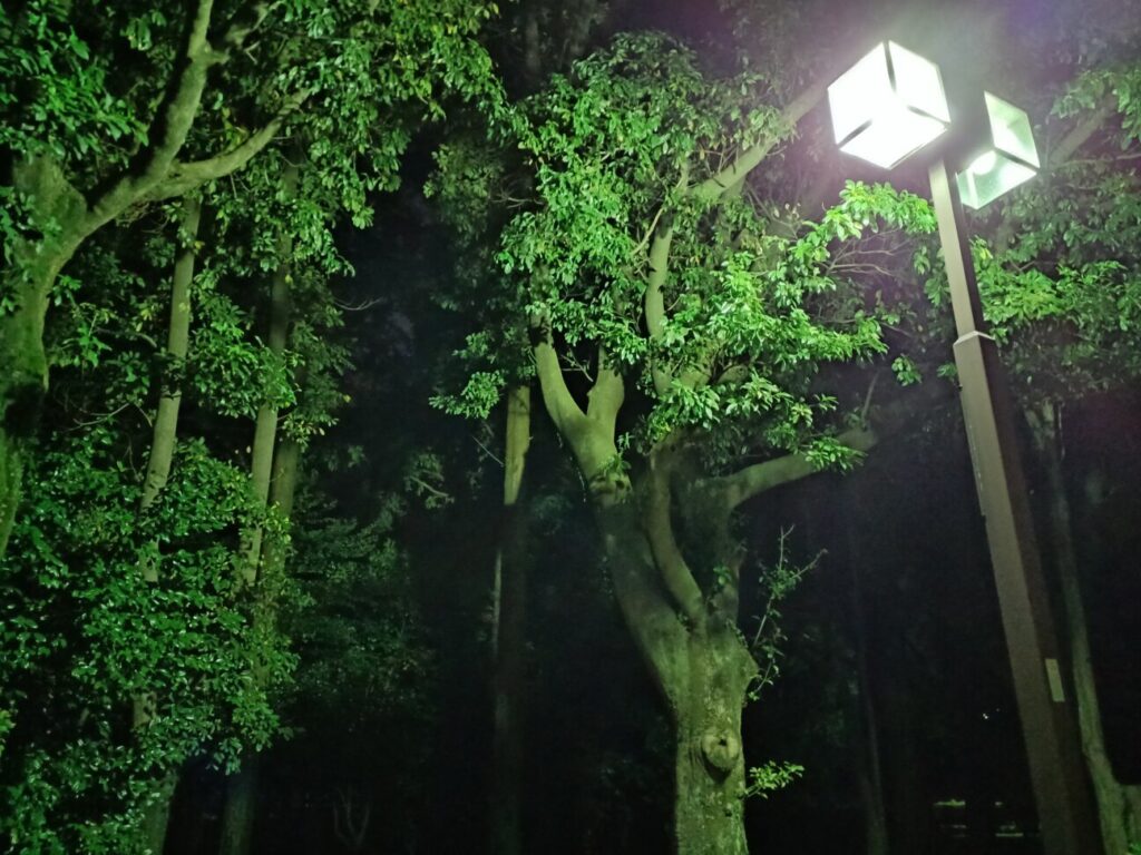 「Galaxy A22 5G」の写真ー夜間の公園ー(夜景モード)