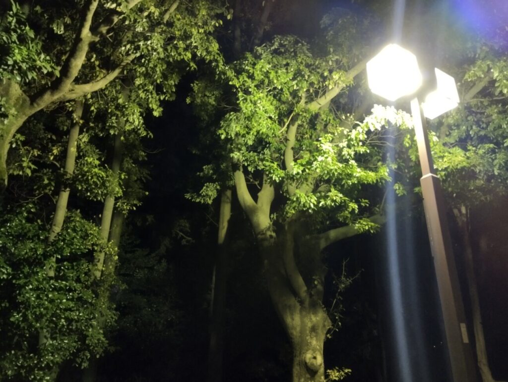 「Redmi Note 10T」の写真ー夜間の公園ー