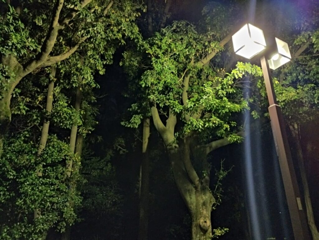 「Redmi Note 10T」の写真ー夜間の公園ー(夜景モード)