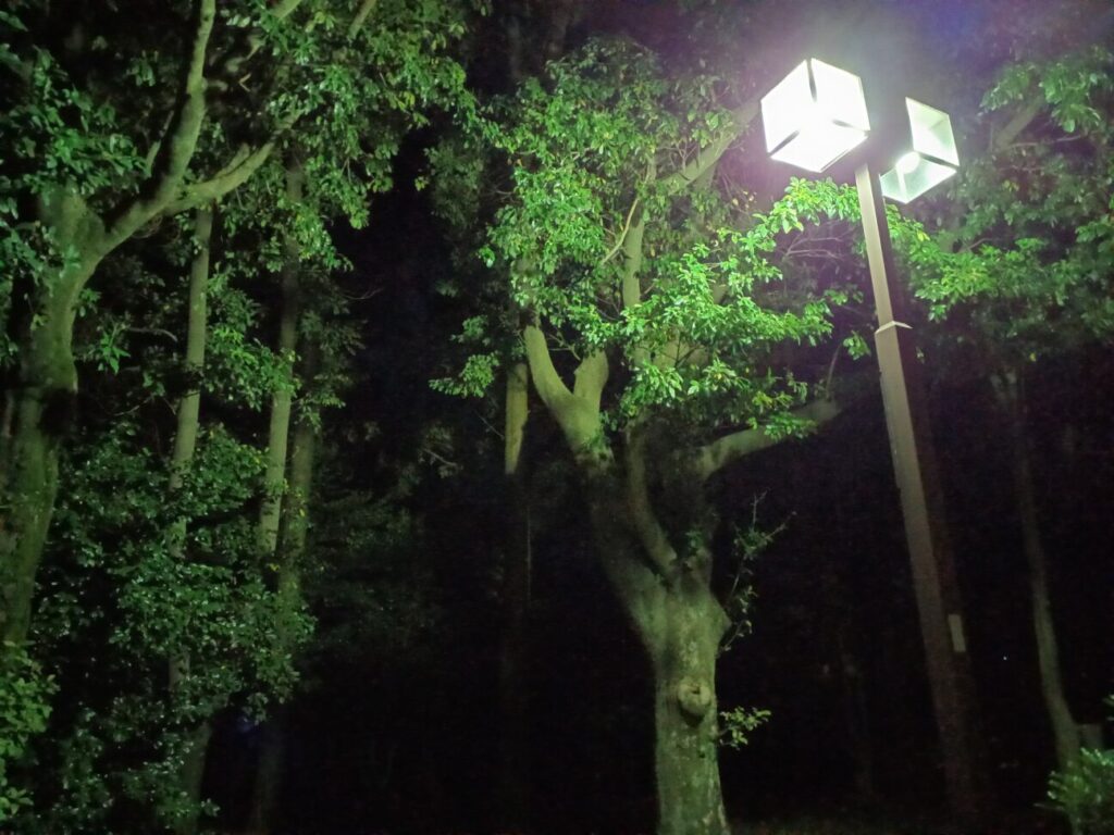 「Galaxy A22 5G」の写真ー夜間の公園ー