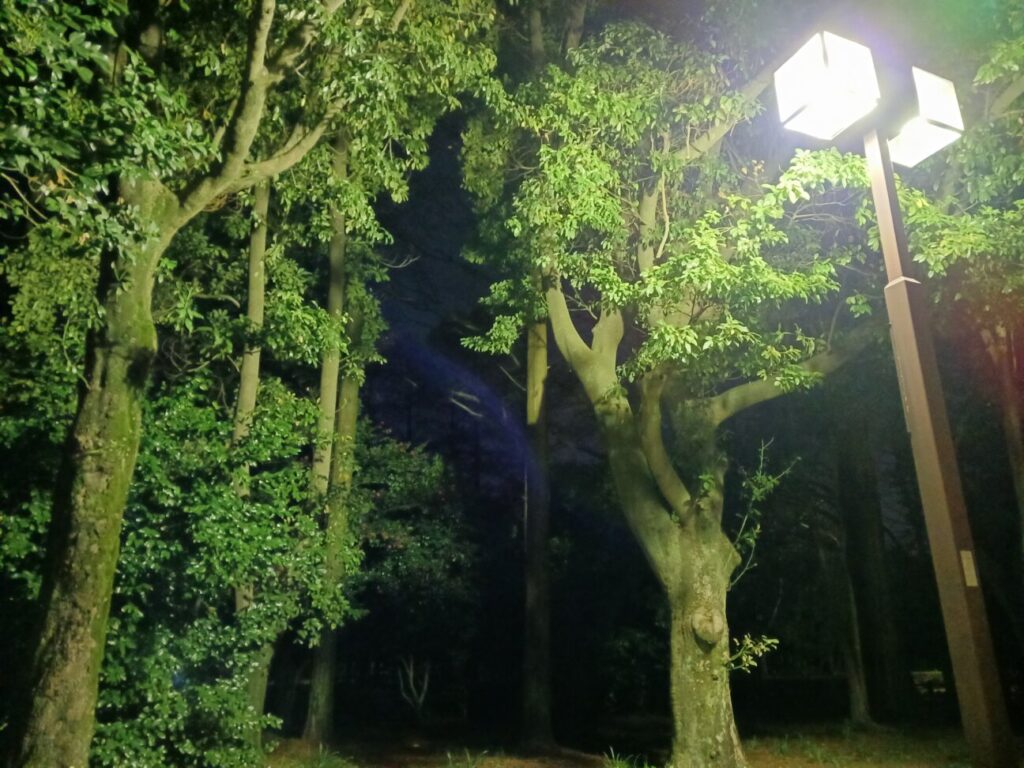 「Galaxy A23 5G」の写真ー夜間の公園ー
