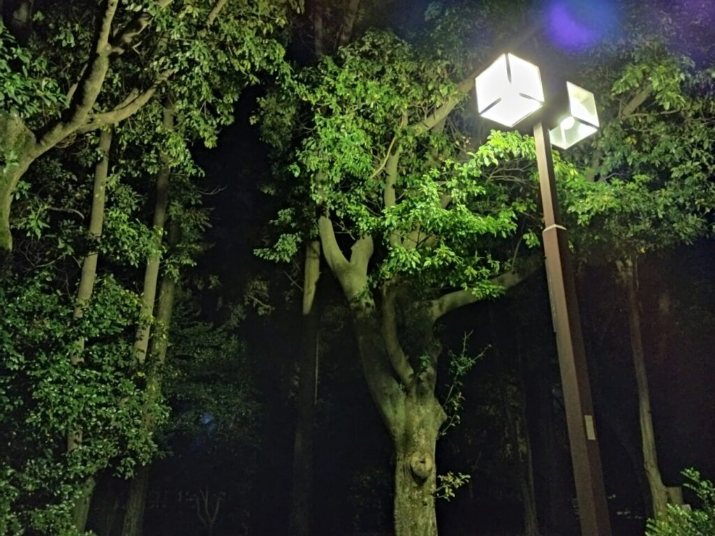 「Redmi Note 10T」の写真ー夜間の公園ー(夜景モード)