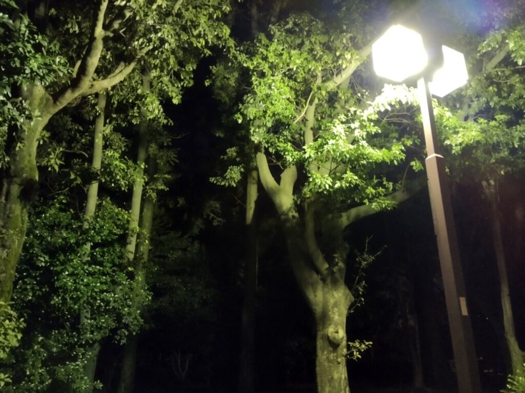 「Redmi Note 10T」の写真ー夜間の公園ー