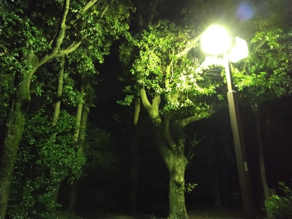 「arrows We」の写真ー夜間の公園ー(夜景モード)
