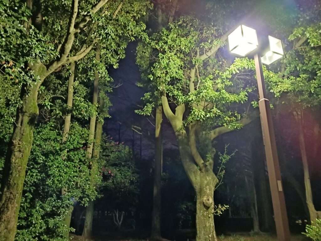 「Galaxy A23 5G」の写真ー夜間の公園ー(夜景モード)