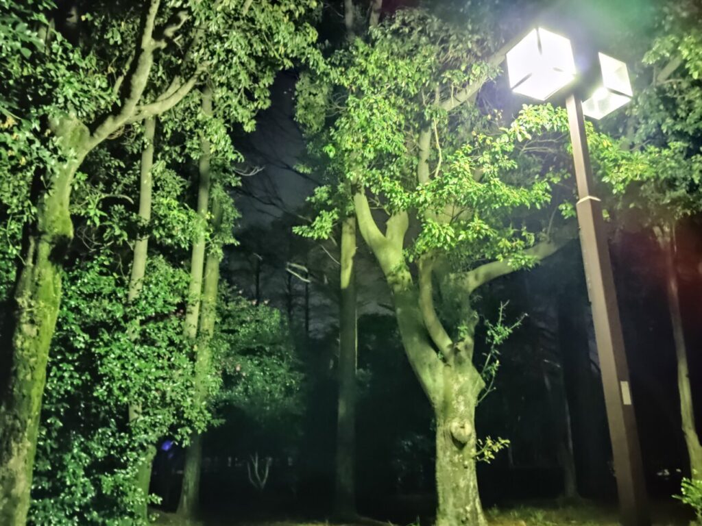 「Redmi 12 5G」の写真ー夜間の公園ー(夜景モード)