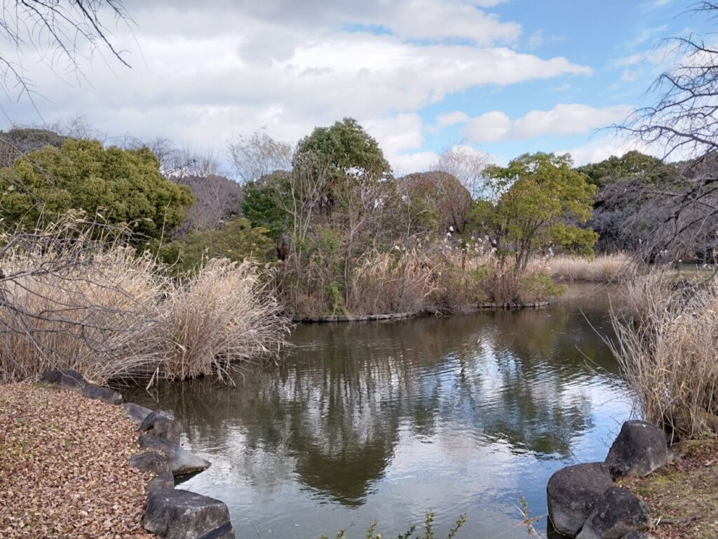 「Redmi Note 10T」の写真ー昼間の公園ー