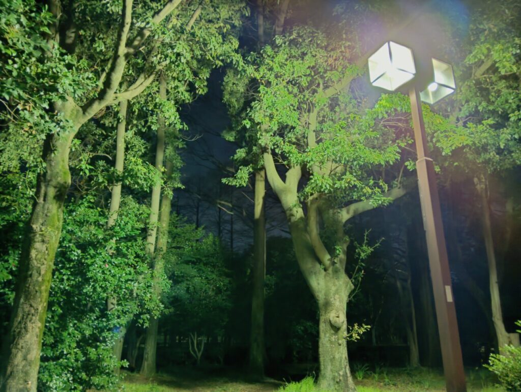 「Libero 5G IV」の写真ー夜間の公園ー(夜景モード)