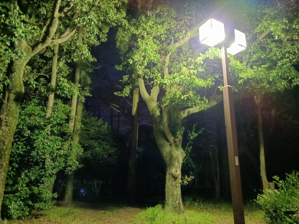 「Galaxy A23 5G」の写真ー夜間の公園ー