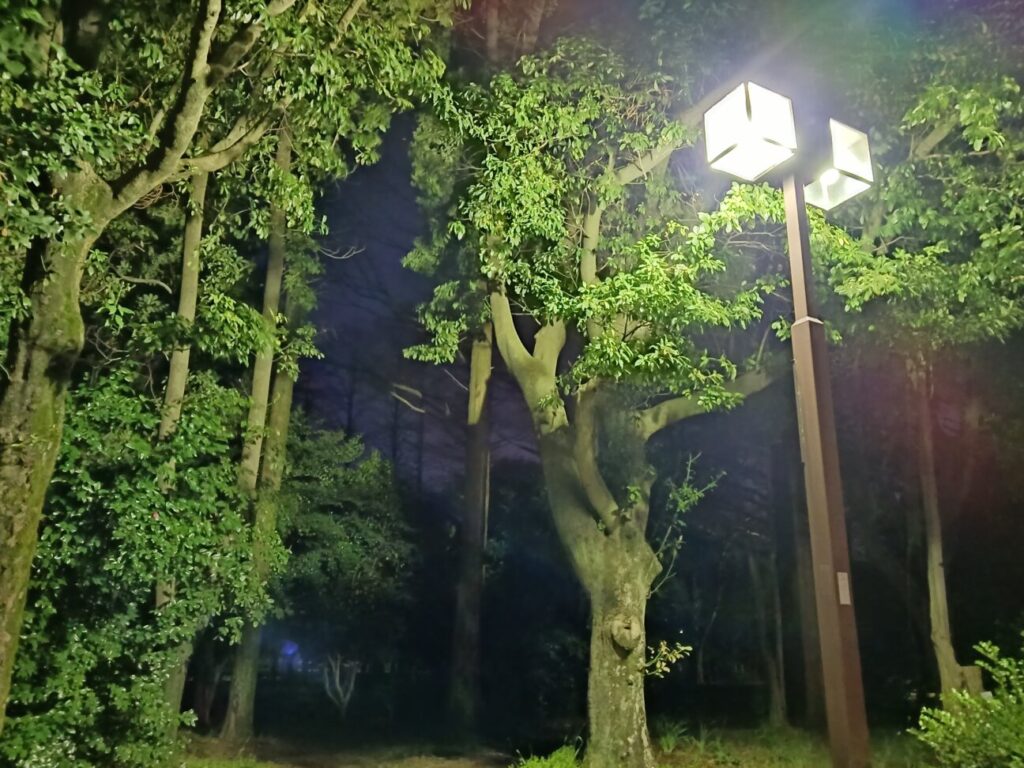 「Galaxy A23 5G」の写真ー夜間の公園ー(夜景モード)