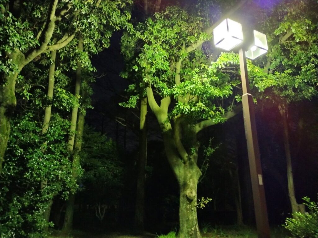 「moto g53y 5G」の写真ー夜間の公園ー