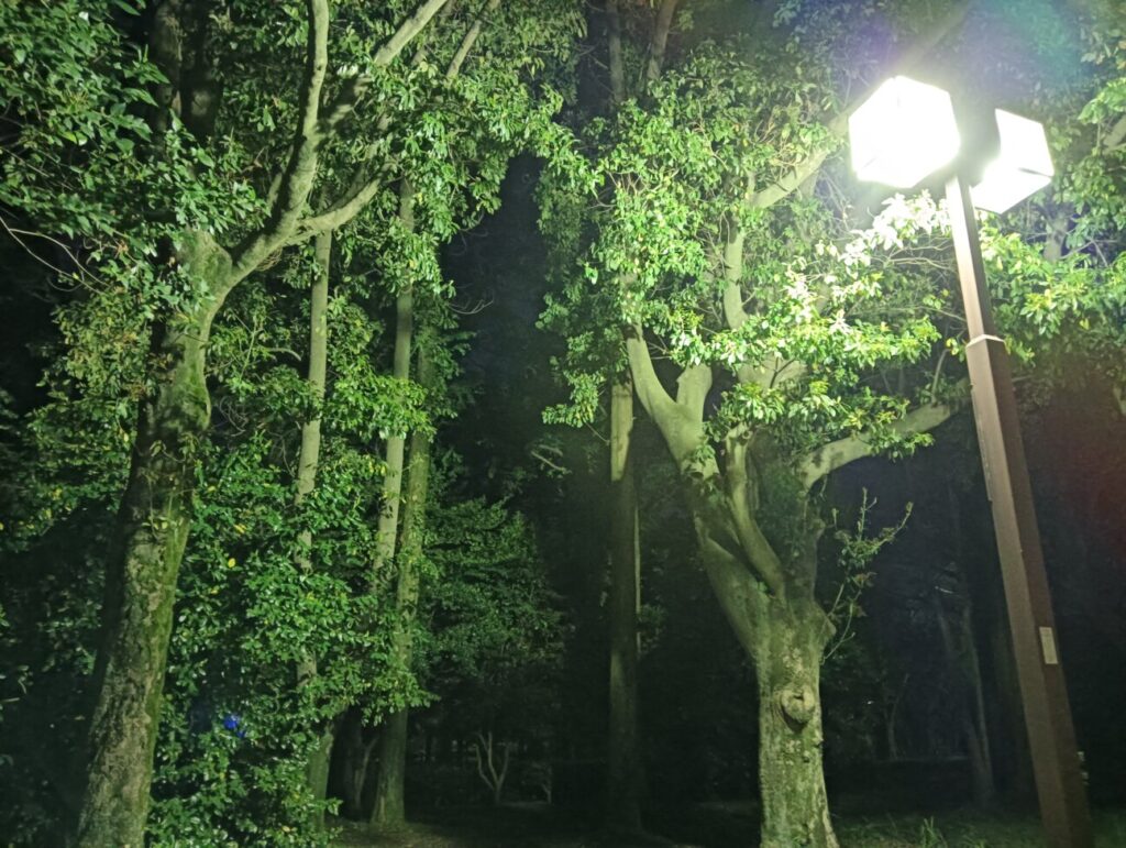 「OPPO A79 5G」の写真ー夜間の公園ー