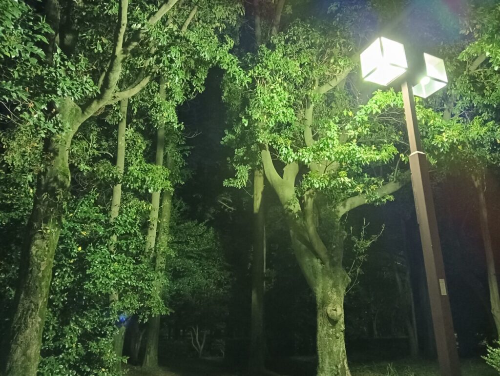 「OPPO A79 5G」の写真ー夜間の公園ー(夜景モード)