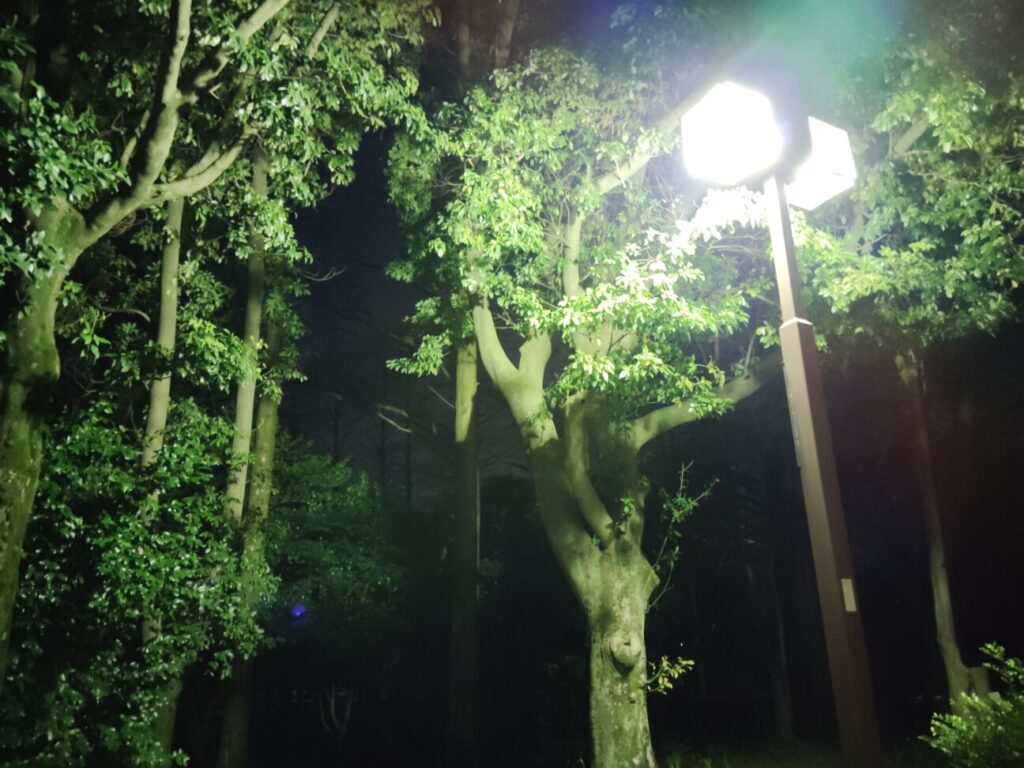 「Redmi 12 5G」の写真ー夜間の公園ー