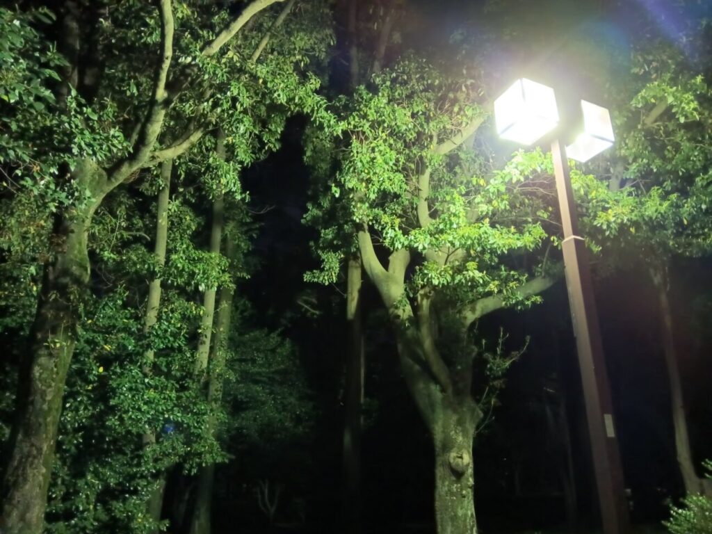 「Libero 5G IV」の写真ー夜間の公園ー