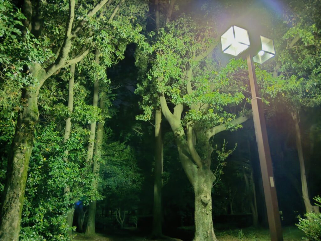 「Libero 5G IV」の写真ー夜間の公園ー(夜景モード)
