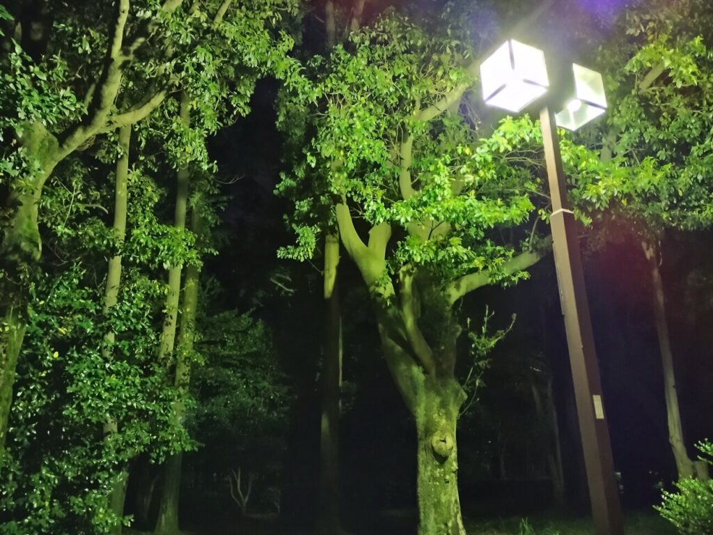 「moto g53y 5G」の写真ー夜間の公園ー(夜景モード)