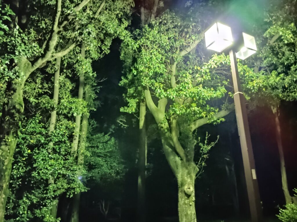 「Redmi 12 5G」の写真ー夜間の公園ー(夜景モード)